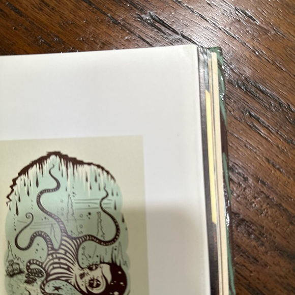 🌹The Saddest Place On Earth Hardcover Book - Picture 9 of 15